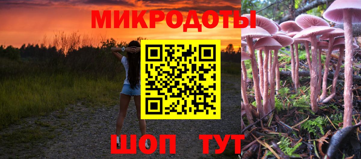 Галлюциногенные грибы Magic Shrooms  Вход с VPN  Якутск  Псилоцибиновые грибы Psilocybine cubensis 
